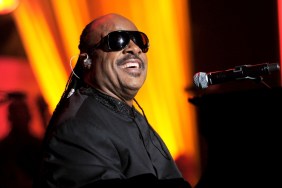 stevie wonder