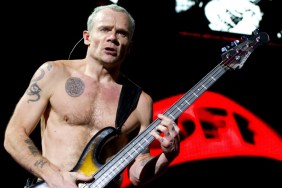 Flea