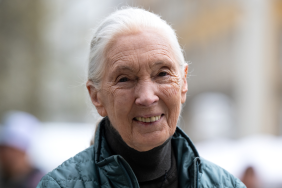 Jane Goodall