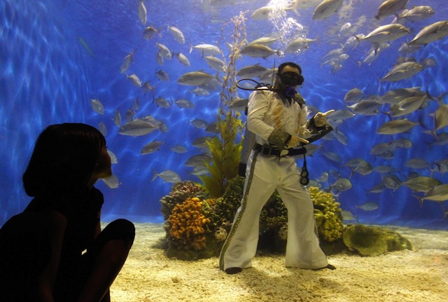 Elvis Presley Aquarium