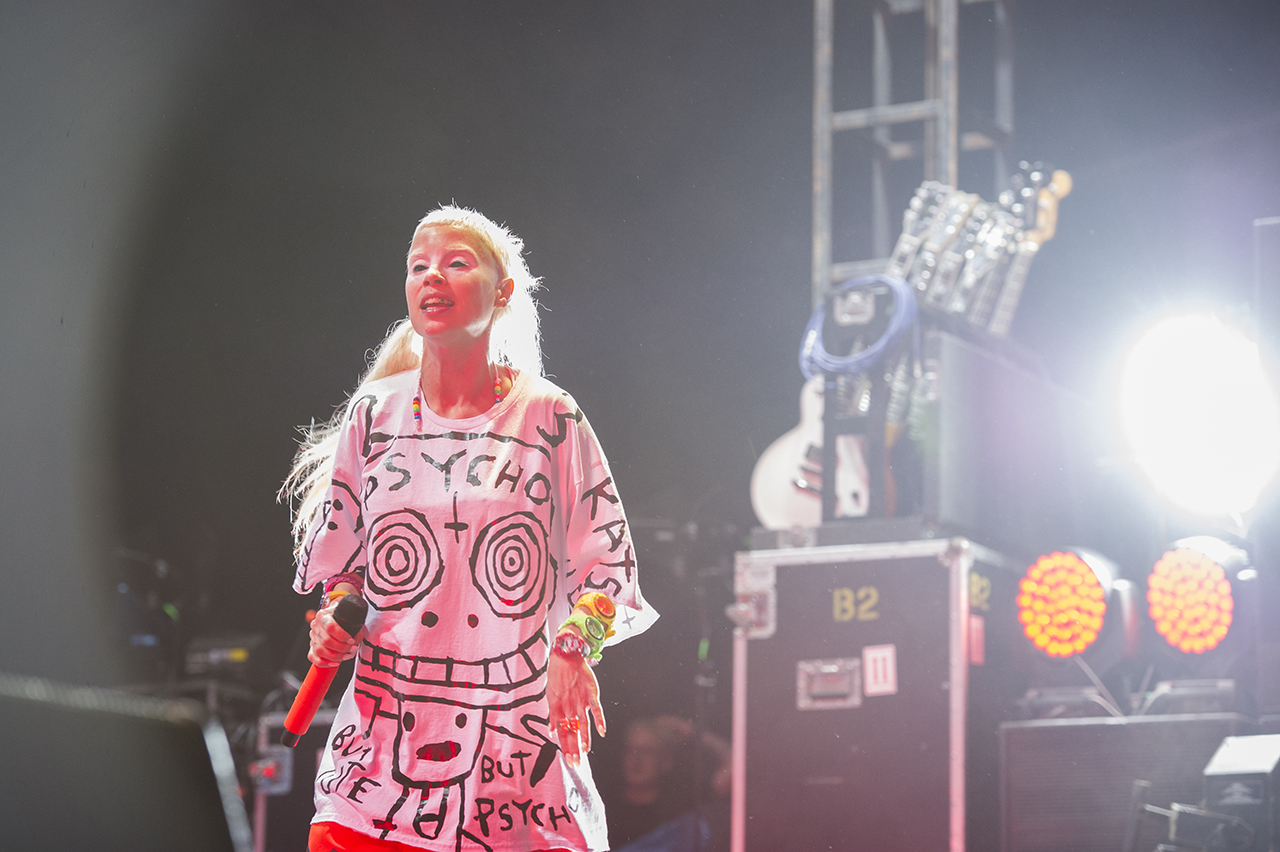 08DIEANTWOORD06