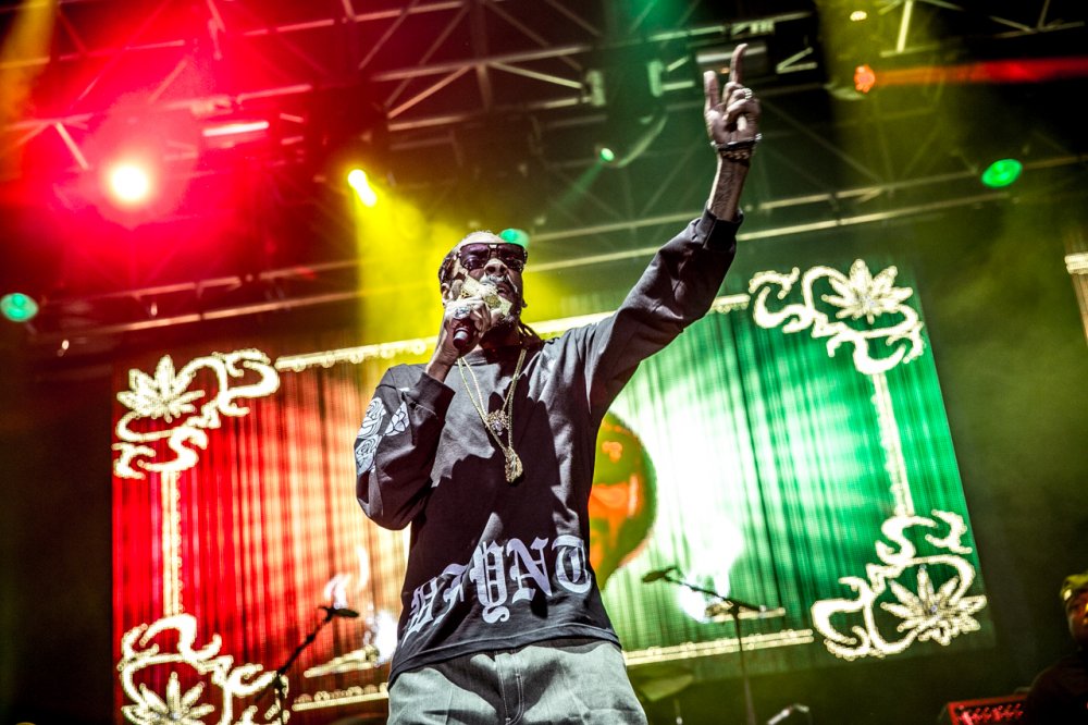 21SnoopDoggBigDayOut2014MelbourneByAnwarRizk03