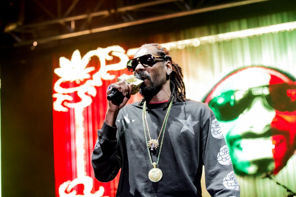 21SnoopDoggBigDayOut2014MelbourneByAnwarRizk09