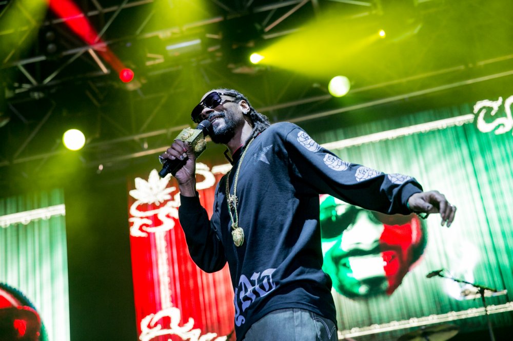 21SnoopDoggBigDayOut2014MelbourneByAnwarRizk10