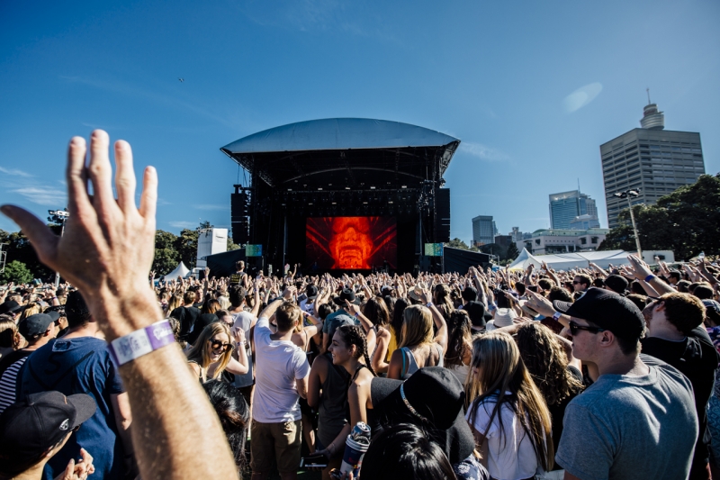 Field Day Halsey