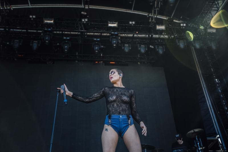 Field Day Halsey