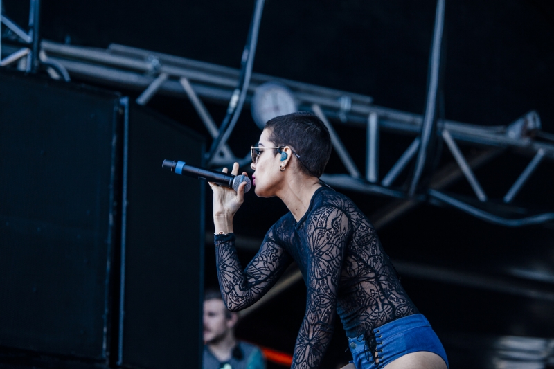 Field Day Halsey