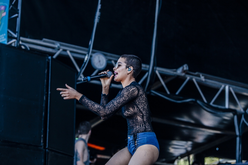 Field Day Halsey