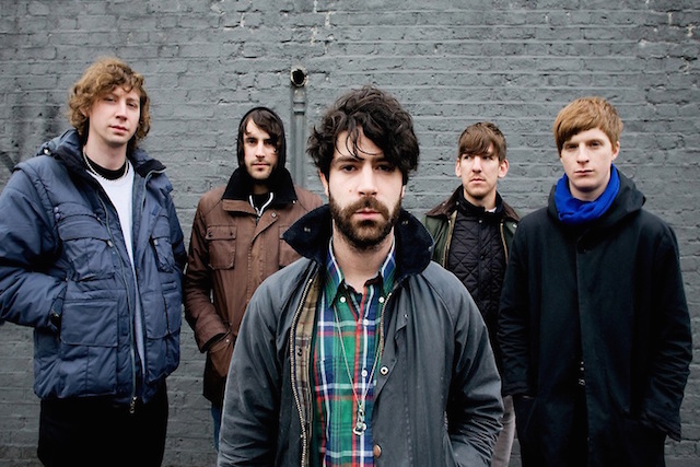 Foals