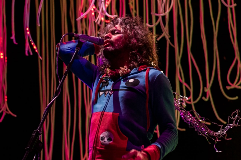 The Flaming Lips