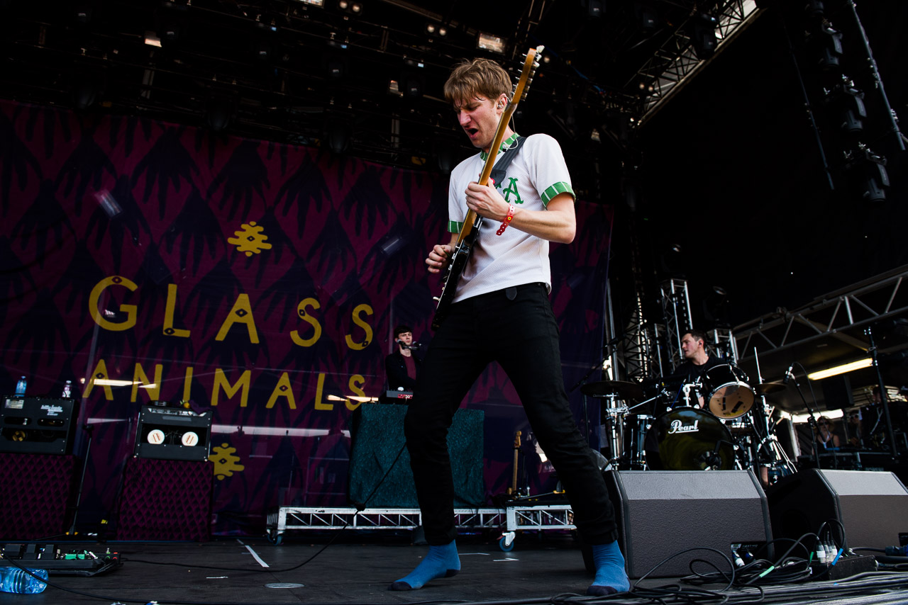 07GlassAnimalsFieldday 90