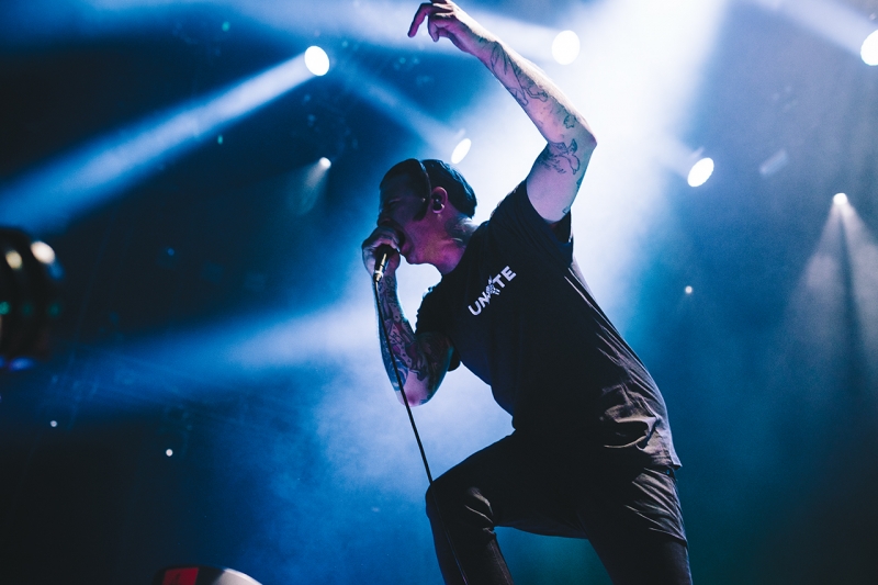 The Amity Affliction