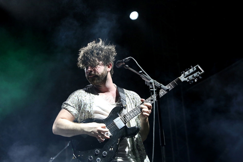 Foals