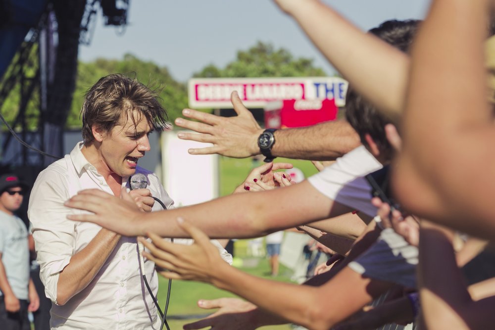 The Hives