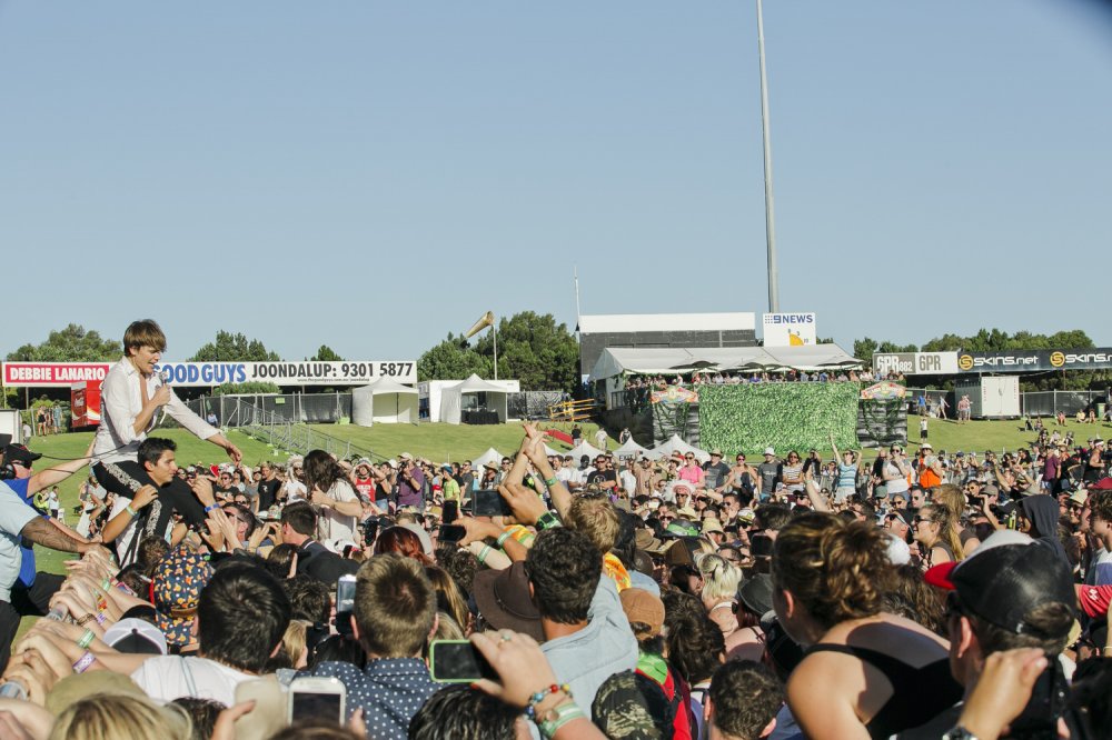 The Hives