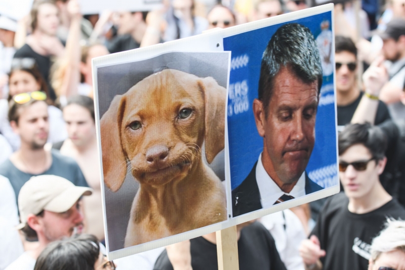 Funniest Signs From The Keep Sydney Open Rally 09/10/16 #2