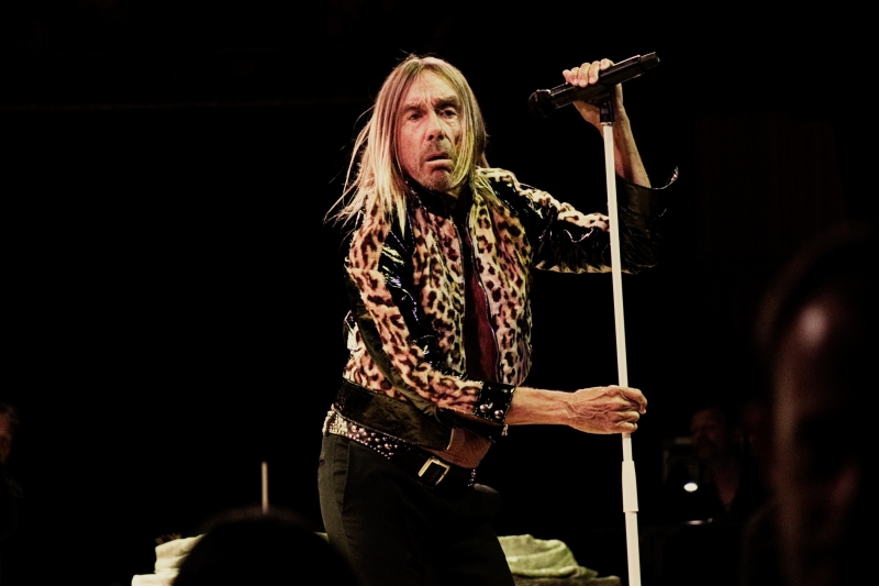 Iggy Pop