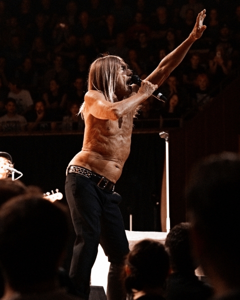 Iggy Pop