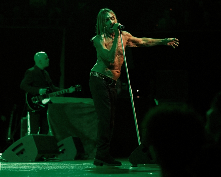 Iggy Pop