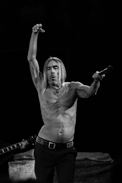 Iggy Pop