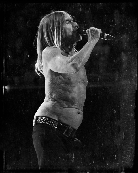 Iggy Pop