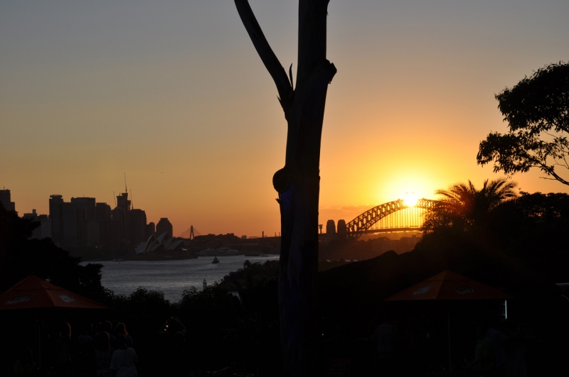 Missy Higgins, Paul Dempsey - Twilight At Taronga, Sydney 13/02/16 #11