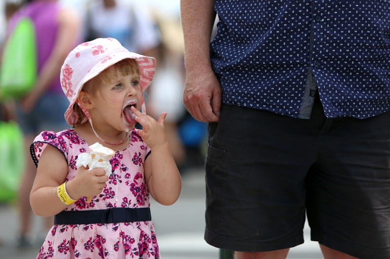 St Kilda Festival 2016 - City of Port Phillip, Victoria 14/02/16 #13