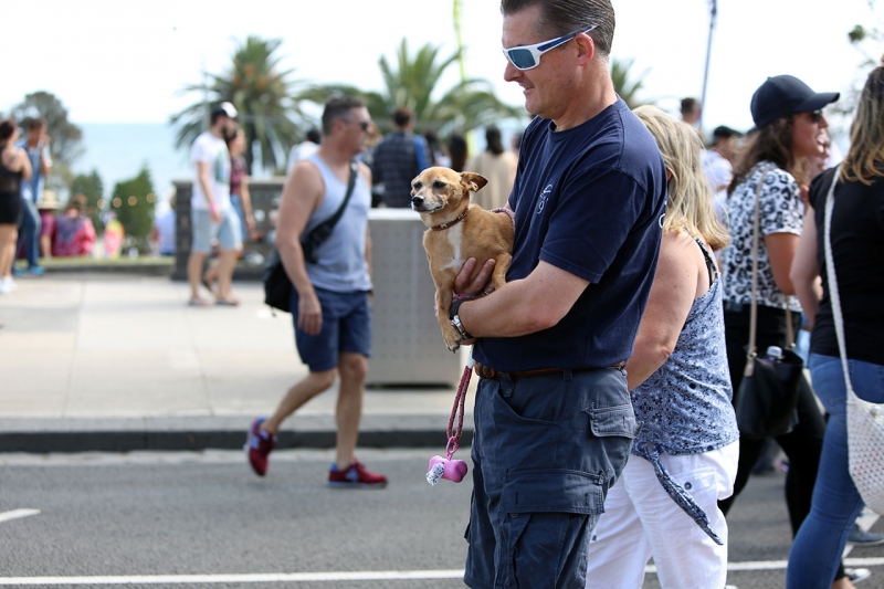 St Kilda Festival 2016 - City of Port Phillip, Victoria 14/02/16 #23