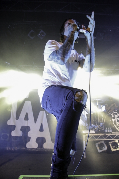 The Amity Affliction